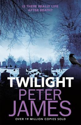 Twilight Peter James 9781409181309 book cover